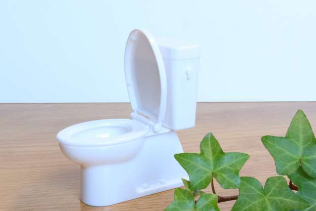 水が流れないトイレの対処法！詰まり・故障・断水の見分け方