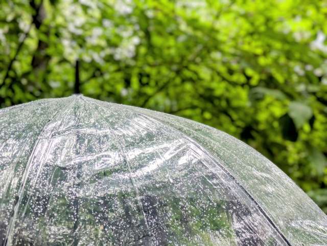 雨漏りの原因は屋根以外にも！対処・予防法や費用相場も解説