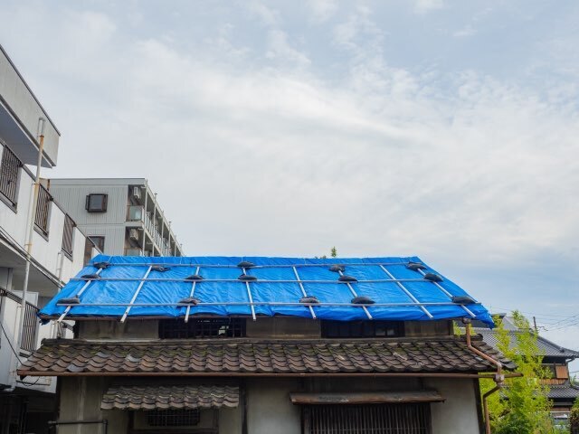 天井から雨漏り！被害を最小限に抑えるための応急処置と注意点